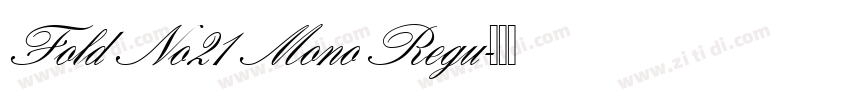 Fold No21 Mono Regu字体转换